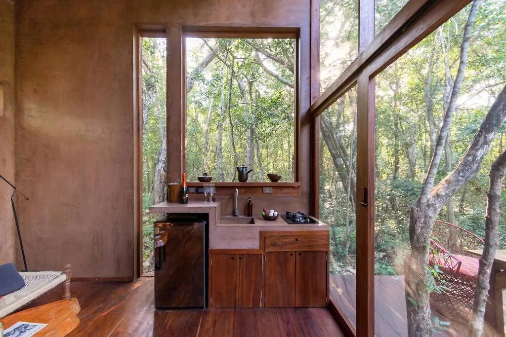 Ojo De Agua. Design+Pool. Vive La Autentica Selva! Tulum Holiday home
