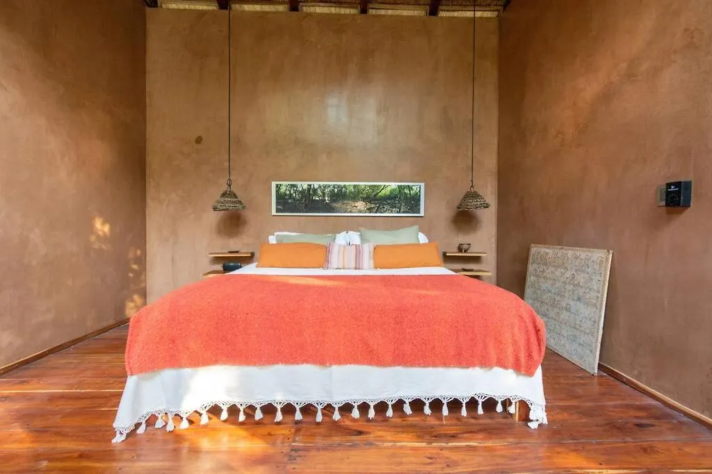 Ojo De Agua. Design+Pool. Vive La Autentica Selva! Tulum Mexico